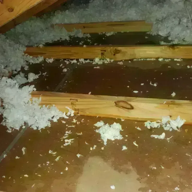 Attic Water Damage in Reidland, KY